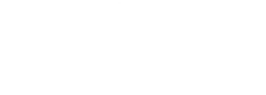 Shopify Plus Partner